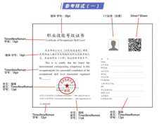 2020营养师技能等级证书样板