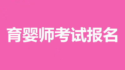 2022年育婴师考试报名官网入口,正式开通